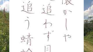 蜻蛉の俳句をペン字で