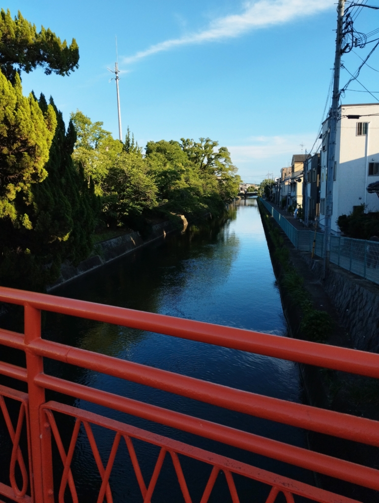 お稲荷さん傍の疎水