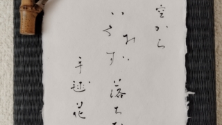 俳句　お空からいろみず落ちた手毬花