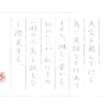 硬筆筆写　石川三四郎『蒼馬を見たり』より