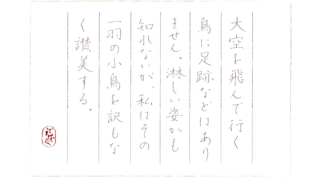 硬筆筆写　石川三四郎『蒼馬を見たり』より