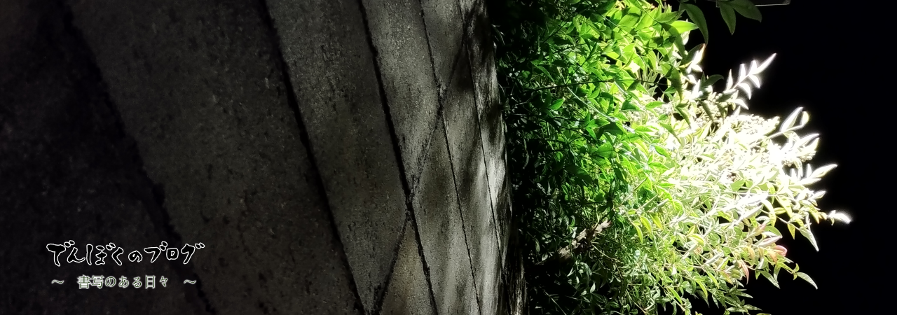 でんぼくのブログ