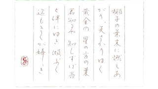 硬筆筆写　漢那浪笛『星』より