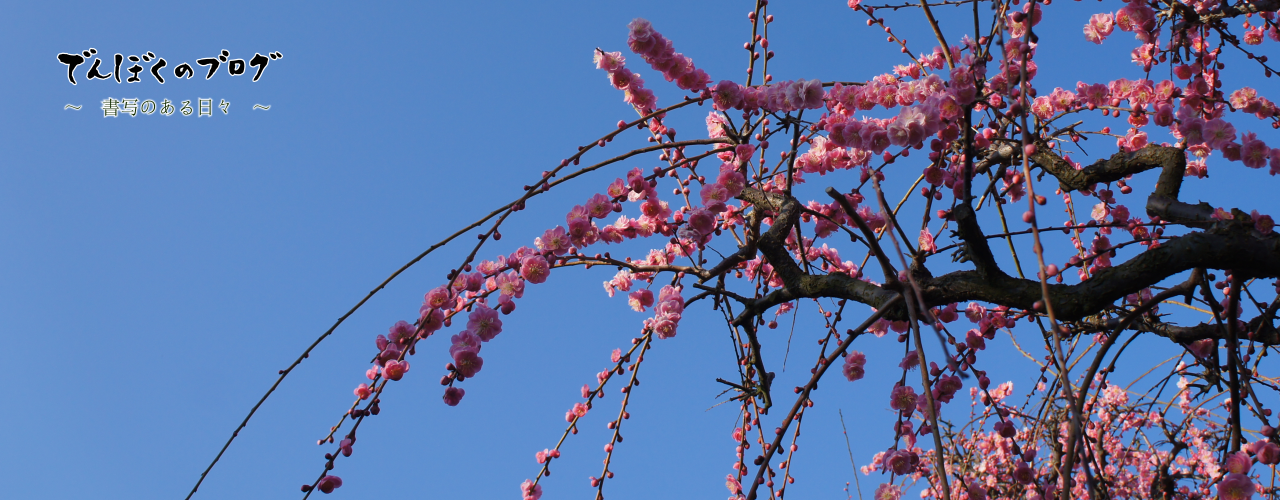 でんぼくのブログ